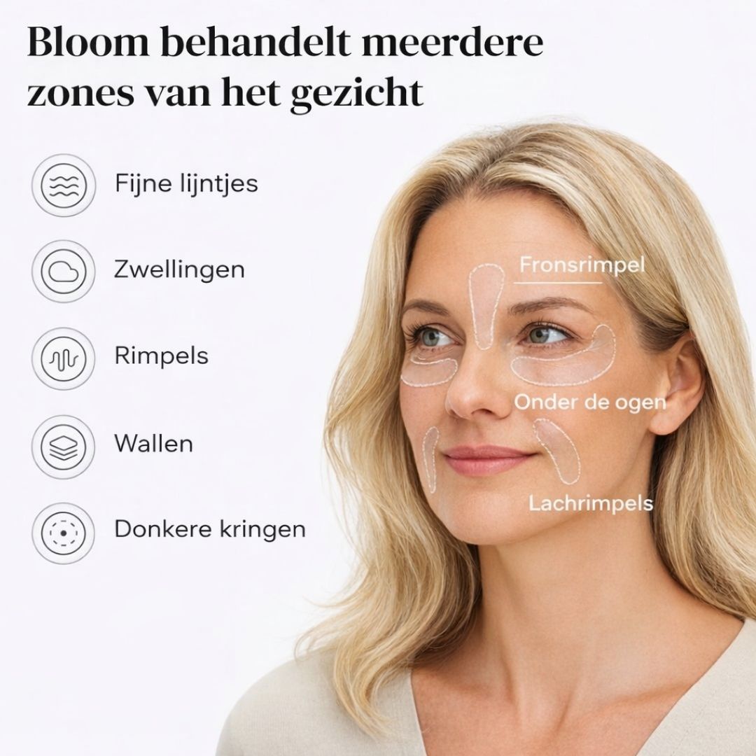 Bloom - 4x Pack