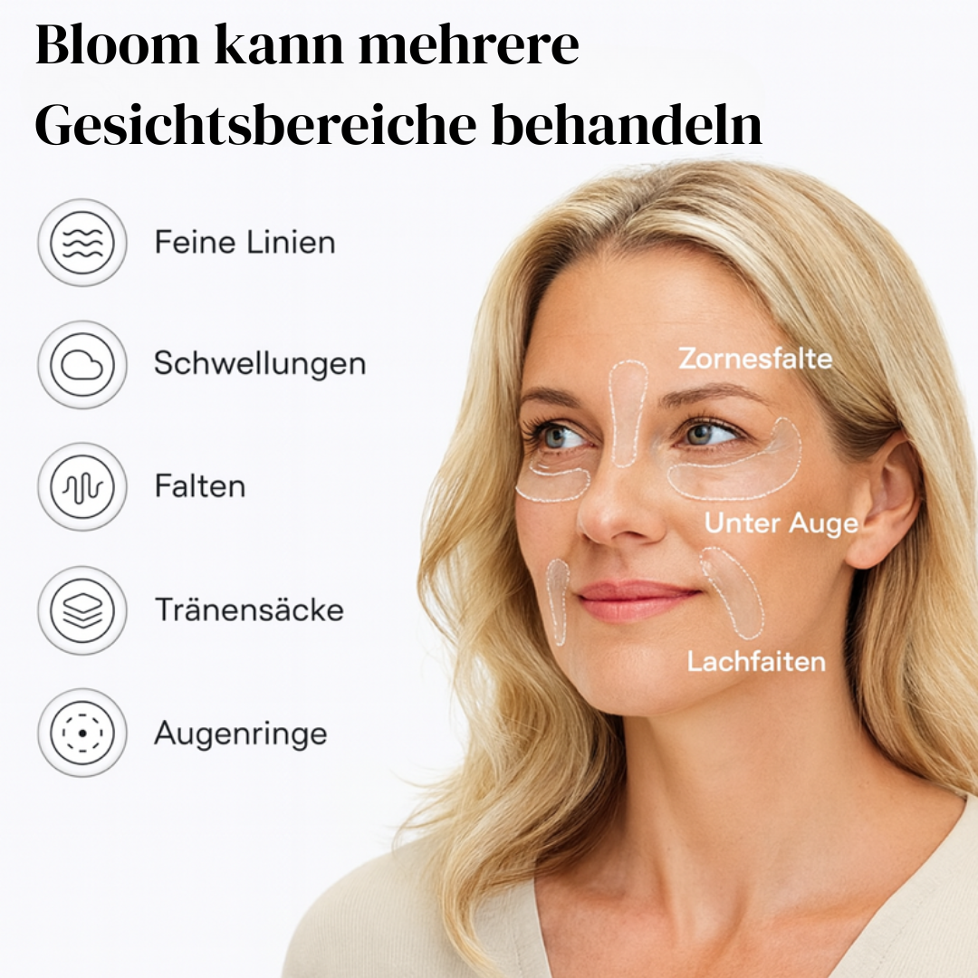 Bloom (6x Pack)